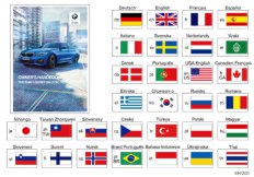 Instrukcja obsługi G20 (01_1623) dla BMW 3' G20 330i Lim USA